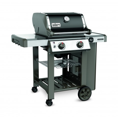 genesis_II_E-210_gbs_ barbecue_a_gaz